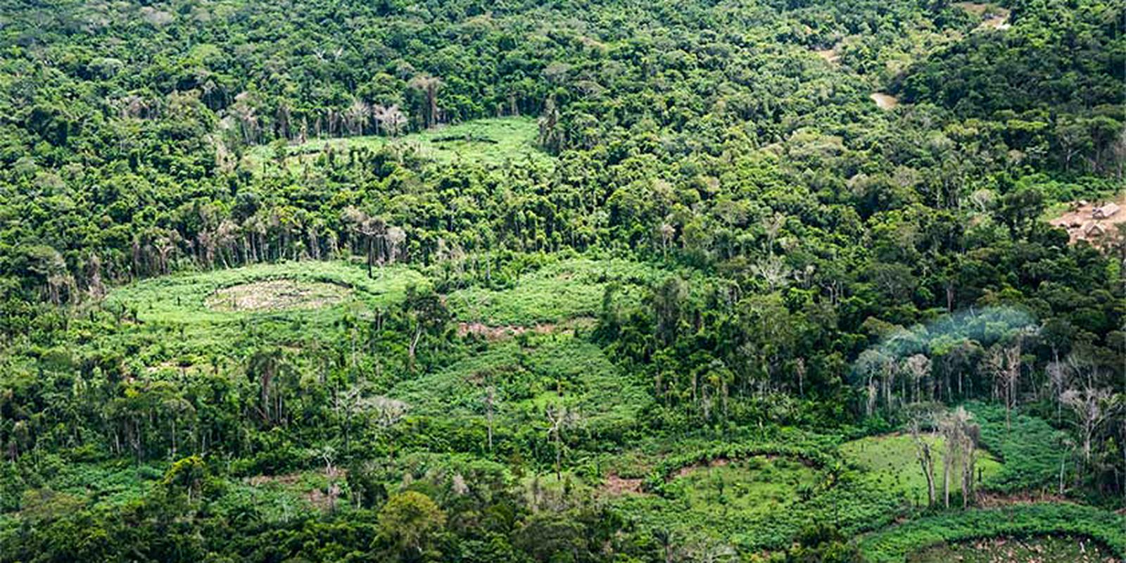 indígenas catalogam espécies para proteger biodiversidade
