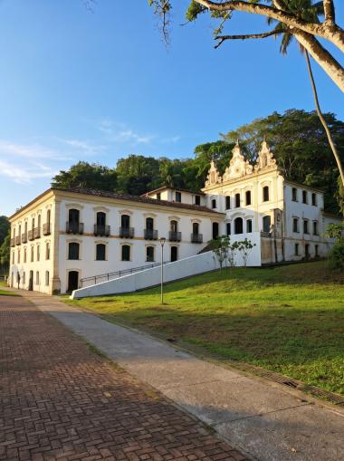 Museu do Recôncavo Wanderley Pinho abre exposição inspirada na obra de Frans Krajcberg | SECOM